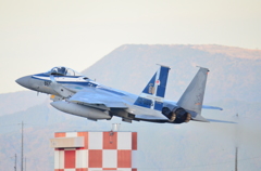 記念塗装機　F-15J