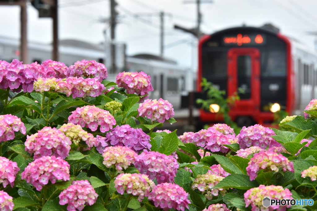 梅雨列車