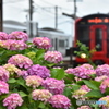 梅雨列車