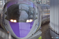 500系　TYPE EVA