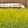 菜の花特急　885系