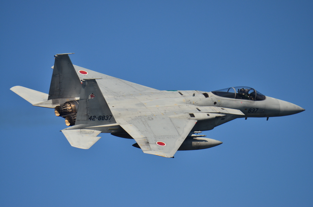 JASDF　築城基地第304飛行隊　F-15J