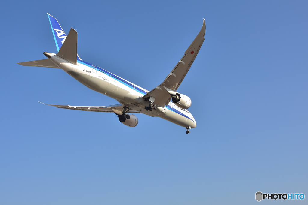 ランディングへ　福岡空港 JA830A