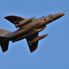 築城基地ナイト　春日基地T-4