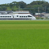 黄金色の前