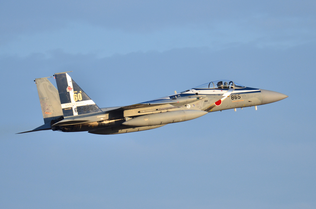 築城基地航空祭　F-15J記念塗装機