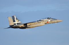 築城基地航空祭　F-15J記念塗装機