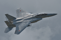 F-15J