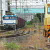 今日もEF81 455を！