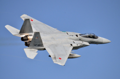 第304飛行隊　F-15J