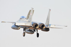 バックシャン　F-15J