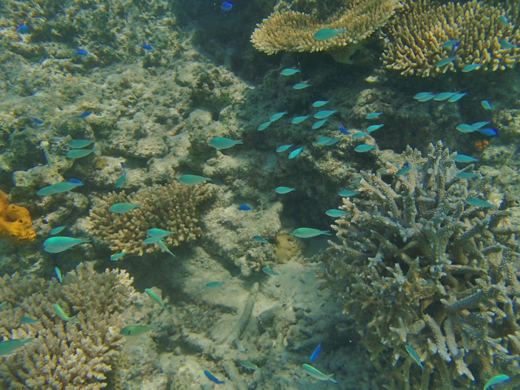 P7260254