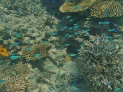 P7260254