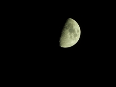 P1020504