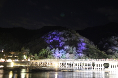 2014嵐山花灯路
