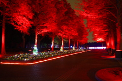 長居植物園