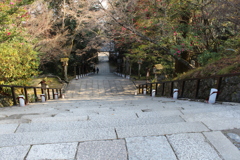 この階段・・・