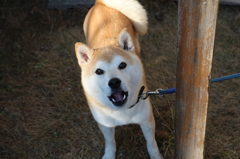 今年も遊ぼうね＾＾