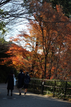 若いっていいね。