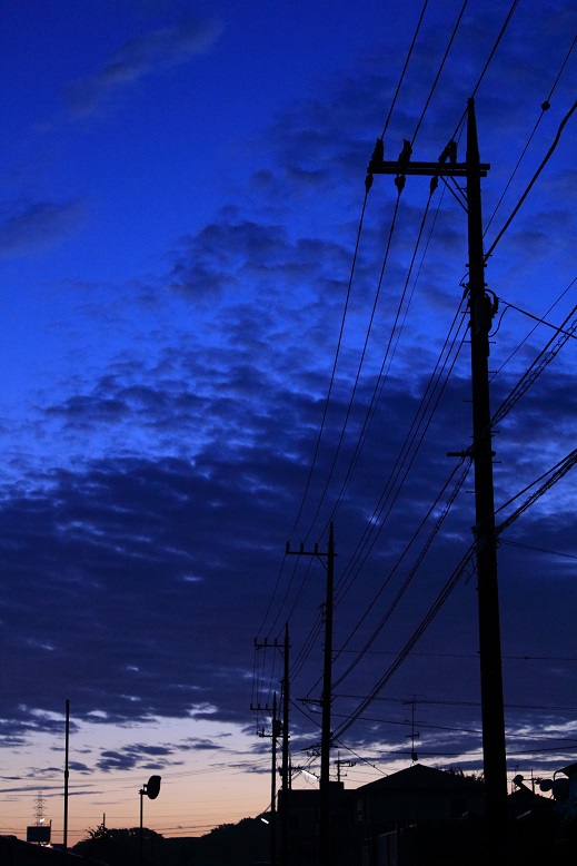 空の青