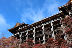 清水の舞台を下から①
