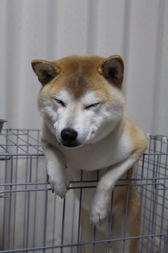 寝てないってばっ！！