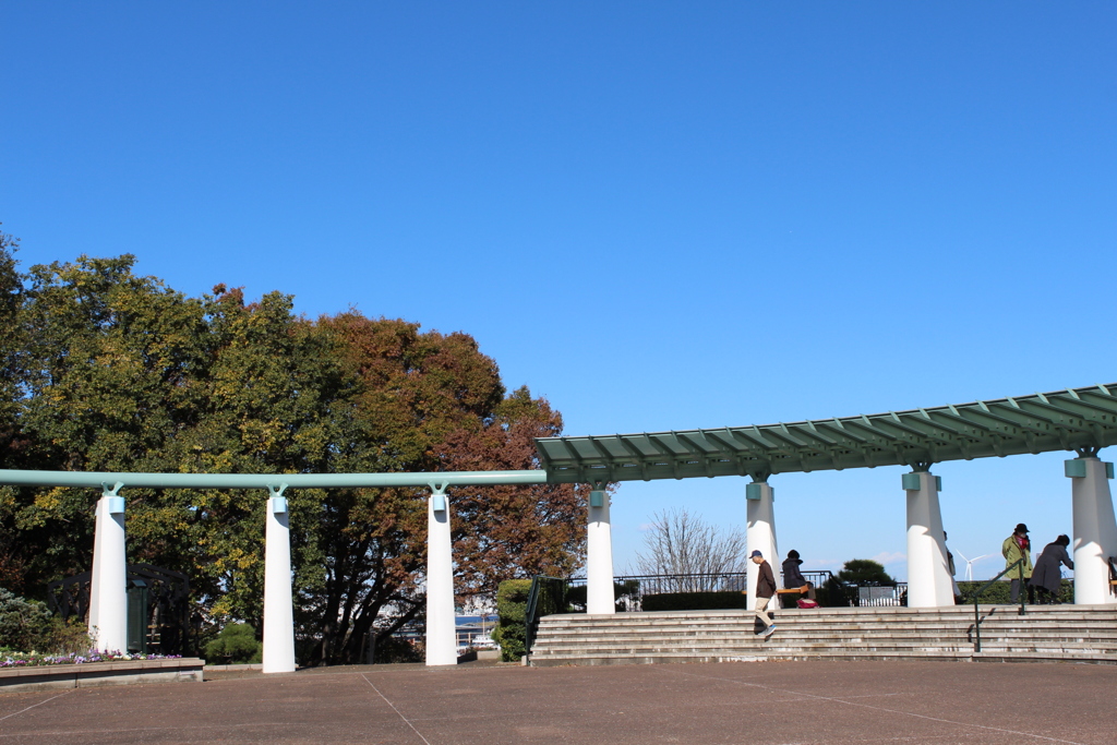 空が青い＾＾