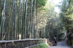 嵐山竹林