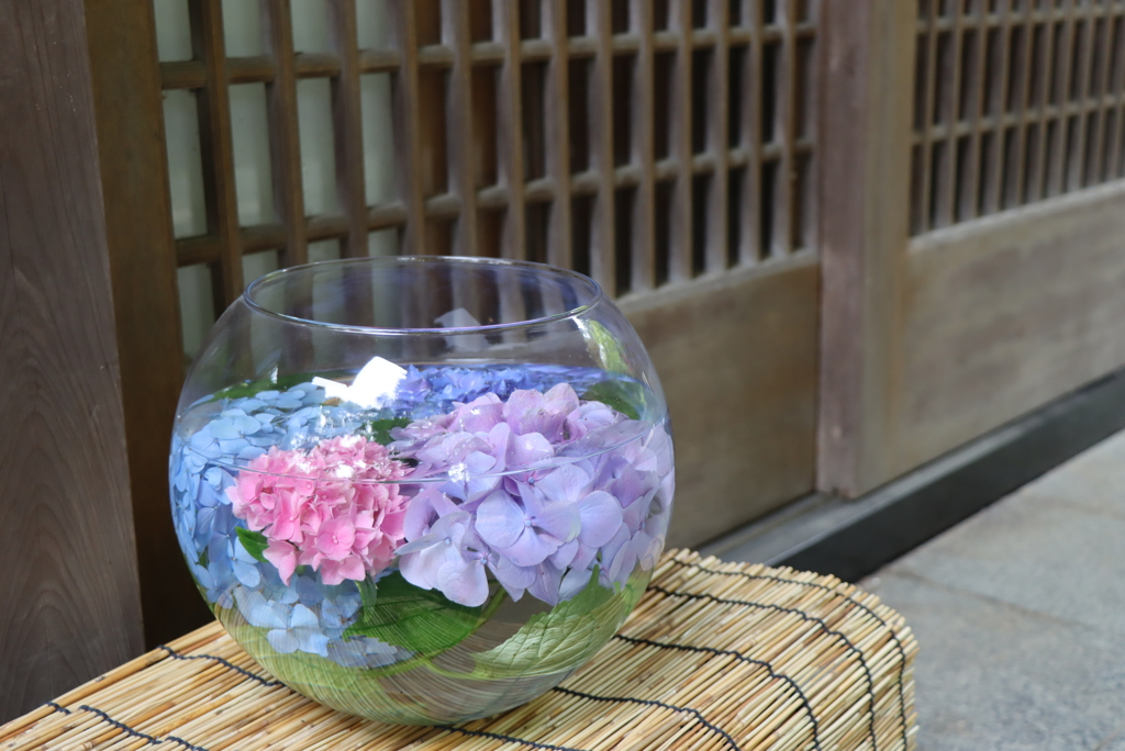 水中花