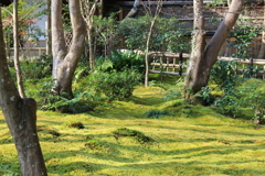 祇王寺へ