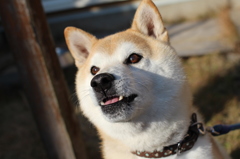今年もよろしくお願いします＾＾