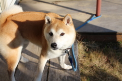 写してないで・・遊ぼ・・・