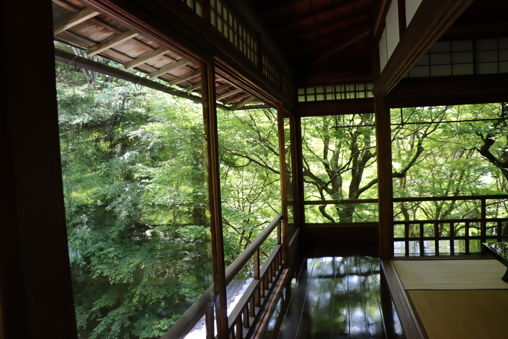瑠璃光院④