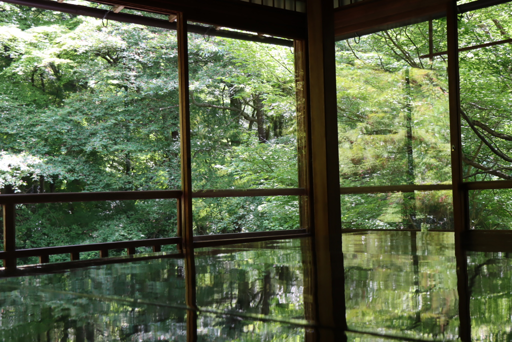 瑠璃光院①