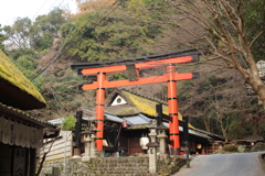 愛宕神社一の鳥居②