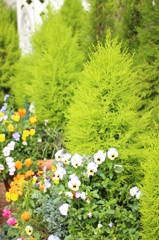 お花がいっぱい・・・真似したい＾＾
