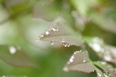 今日も雨・・・