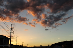 台風過ぎて・・昨日の夕方