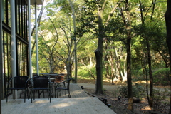 遊歩道のレストラン①