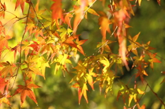 きらきら・・・・・