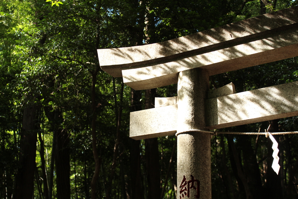 神社④