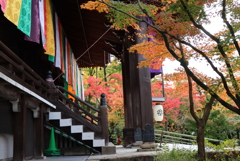 永観堂禅林寺 本堂