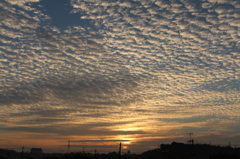 今朝の空③