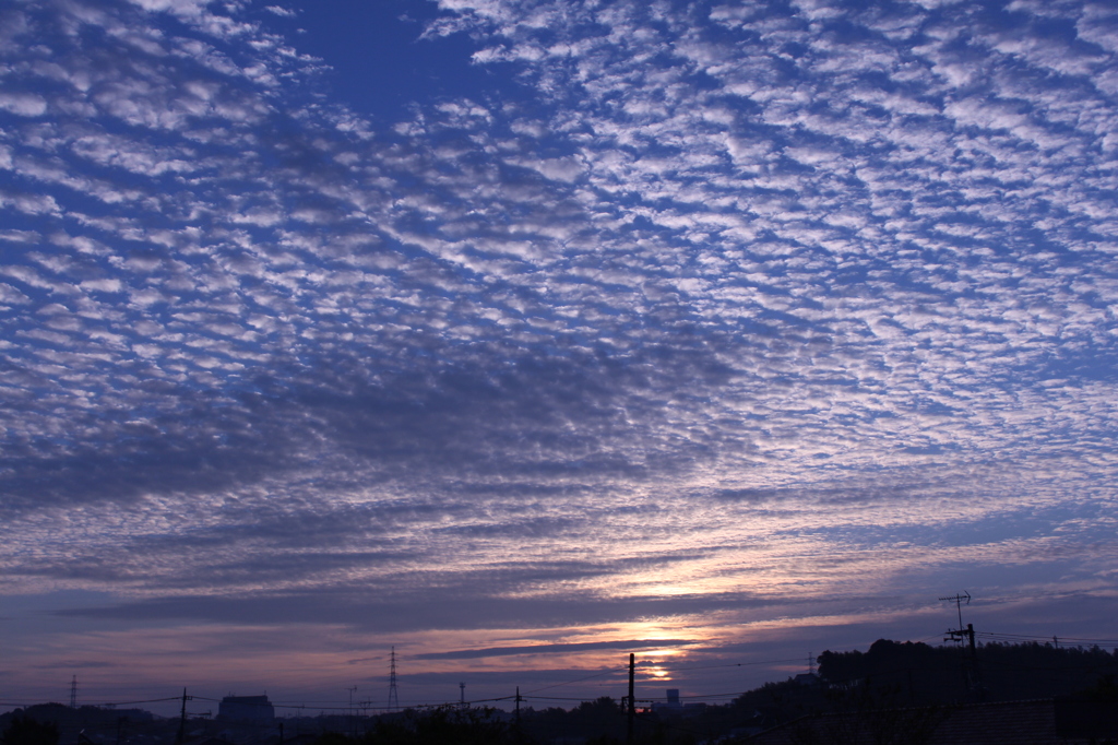 今朝の空②