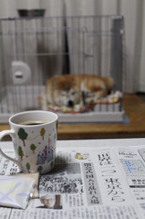 台風の朝