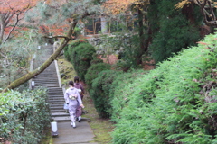 みなさん階段を登る・・