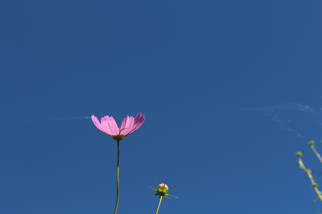 青空