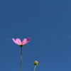 青空