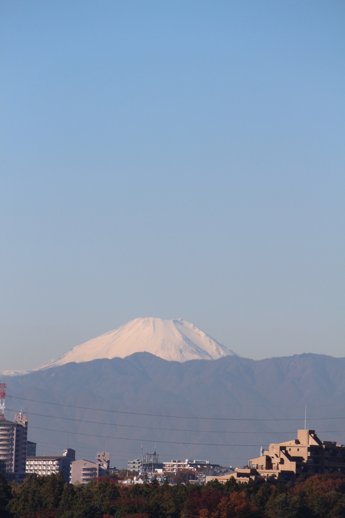 晴天です！