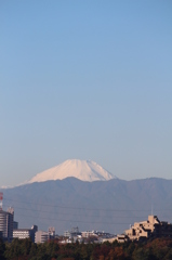 晴天です！